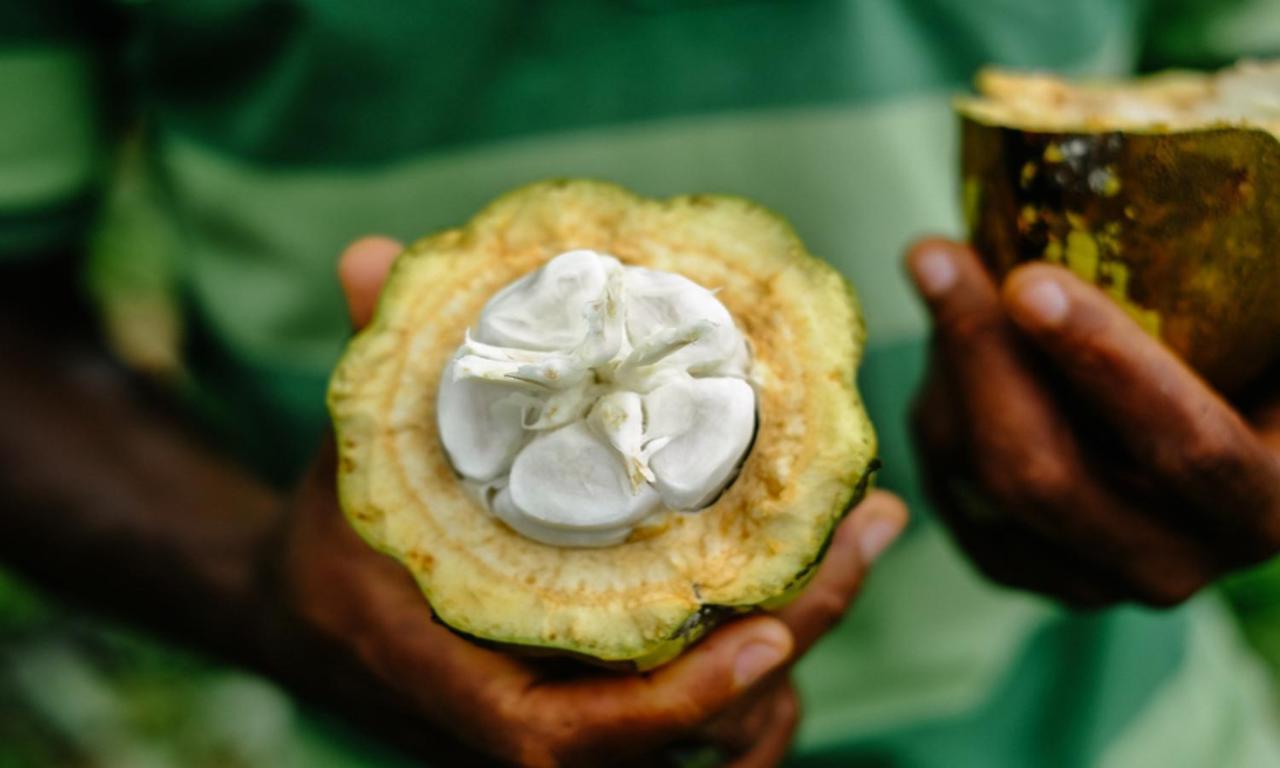 Omali Sao Tome Hotell Eksteriør bilde